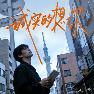 诚实的想你（我讨厌命运骄傲的神情）