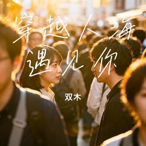 穿越人海遇见你 (Cover 诚闹闹)