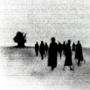 Rüyalar