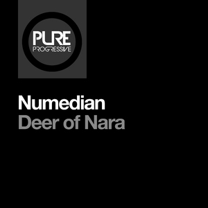 Deer of Nara (Extended Mix)