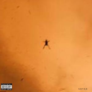somanychances (feat. julio.)