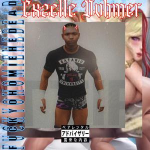 Welcome 2 Lil Pakistan