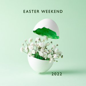 Sand, Sunshine & Good Company