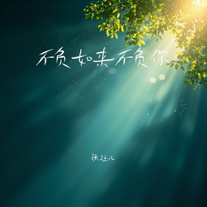 不负如来不负你