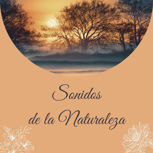 Icebergs desprendiéndose en el océano