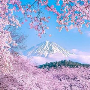 父亲〈cover筷子兄弟〉