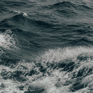 百氚朝海（全网热搜版）