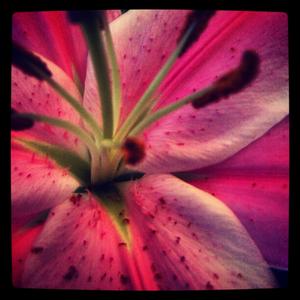 Ecos de Loco Agradable