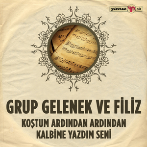 Koştum Ardından Ardından