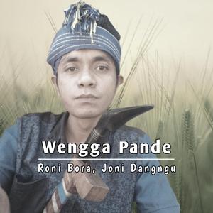 Wengga Pande