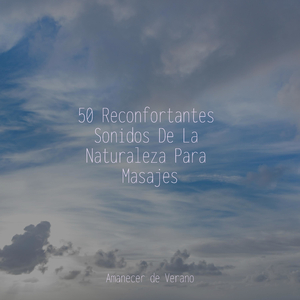 Sinfonía del Viaje Temporal