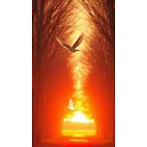 Döner misin? (Turkish folk, pop)