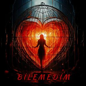 Bilemedim