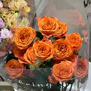 你不知道我为什么离开你