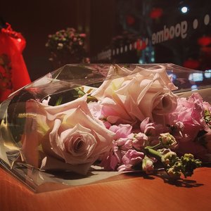 青鸟衔来春的冠冕