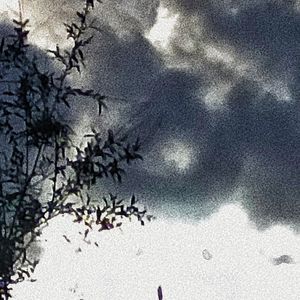 purpleprod by cand1e