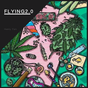 FLYING2.0(pord.BFCat)