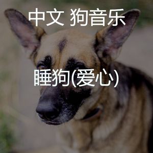 狗午睡-音乐