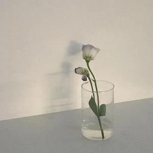 抹泪抹掉了皮就会有人看见你