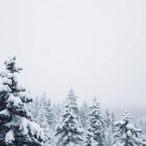 Arômes D'hiver