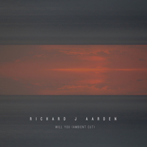 Will You (Ambient Cut)