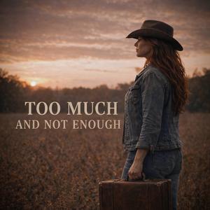 Too Much And Not Enough