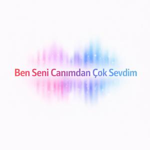 Ben Seni Canımdan Çok Sevdim