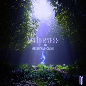 Wilderness (Areeb Mahmood Remix)
