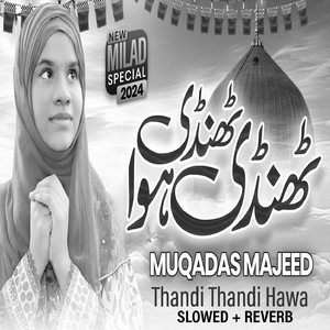 Thandi Thandi Hawa (Lofi-Mix)