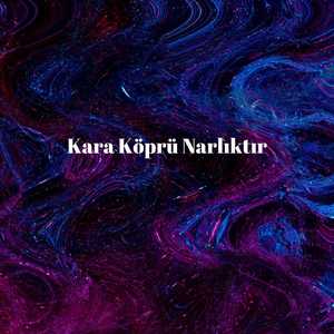 Kara Köprü Narlıktır