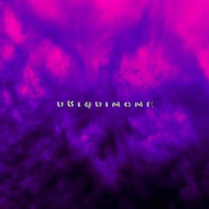 Ubiquinone