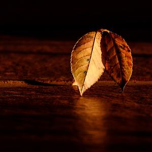 Journey Across Continents