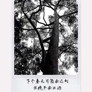 本无—（光头华夏）吉他翻唱