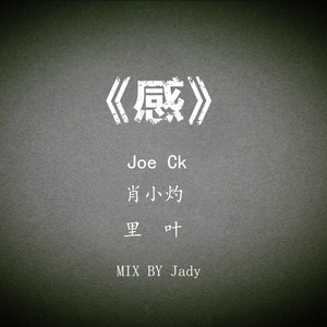 《感》