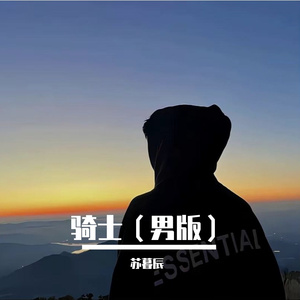 骑士