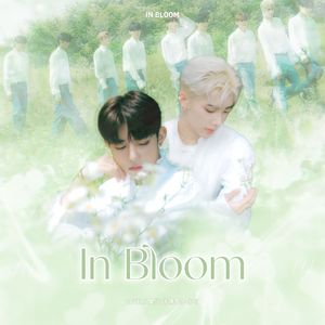 In Bloom