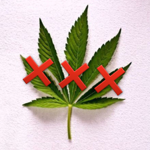 Molly（K&K Remix）