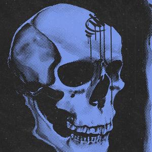 Bones