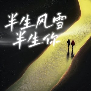 半生风雪半生你