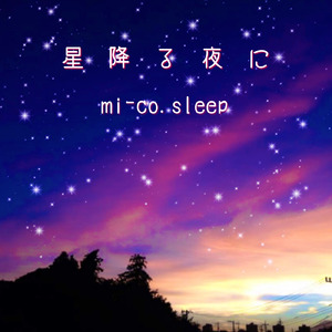 星降る夜に