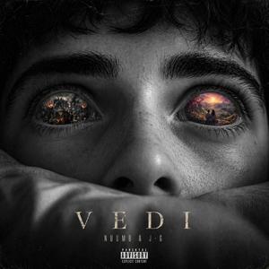 VEDI