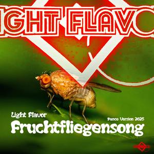 Fruchtfliegensong