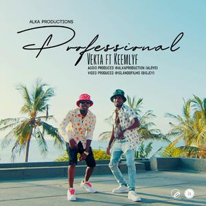 Professional (feat. Keemlyf)