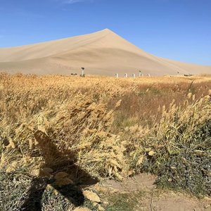 看看天上的燕 时不时想想从前