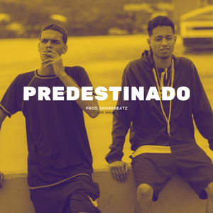 Predestinado