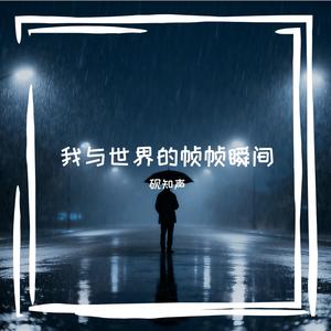 我与世界的帧帧瞬间