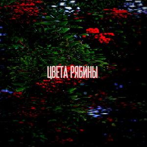 Цвета рябины