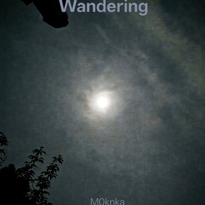 Wandering