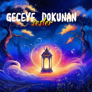 Geceye dokunan sesler
