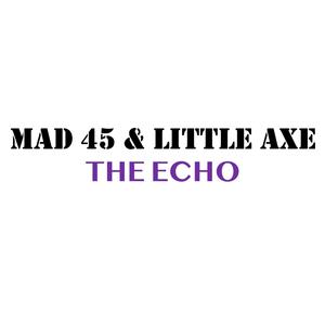 The Echo (feat. Little Axe)